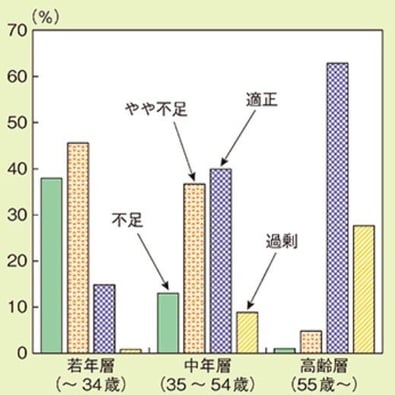 5_年齢別の人手不足