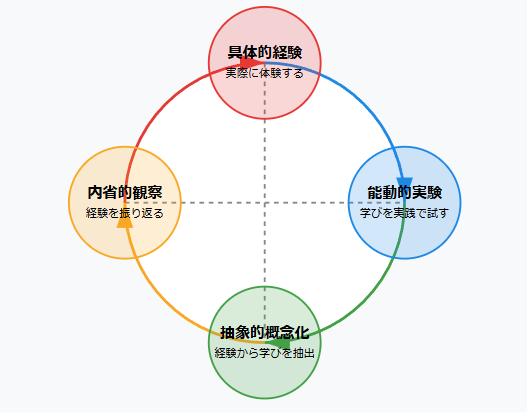 6.コルブの経験学習モデル