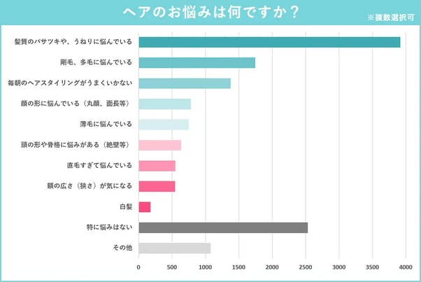 6_株式会社イーグラント・コーポレーションの髪の悩みが何か聞いたアンケート