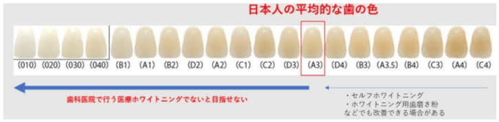 2.日本人の平均的な歯の色
